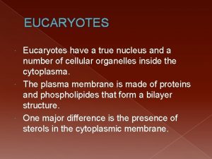 EUCARYOTES Eucaryotes have a true nucleus and a