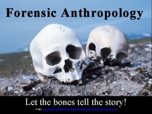 Forensic Anthropology Let the bones tell the story