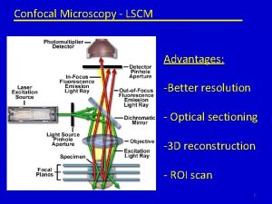 Confocal Microscopy LSCM Advantages Better resolution Optical sectioning