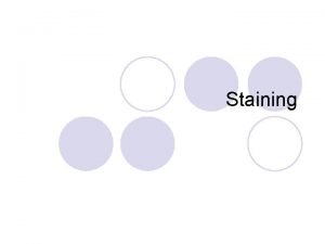 Staining Isolation of Bacteria l Most bacterial samples