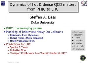 Dynamics of hot dense QCD matter from RHIC