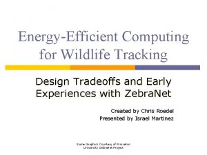 EnergyEfficient Computing for Wildlife Tracking Design Tradeoffs and