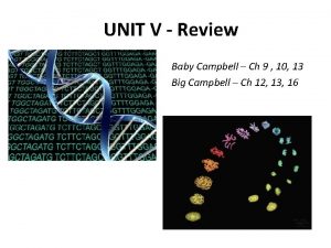UNIT V Review Baby Campbell Ch 9 10