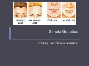 Simple Genetics Exploring How Traits are Passed On