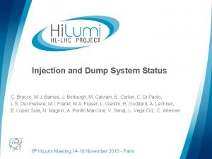 Injection and Dump System Status C Bracco M