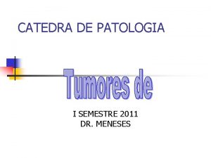 CATEDRA DE PATOLOGIA I SEMESTRE 2011 DR MENESES