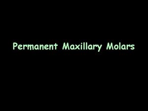 Permanent Maxillary Molars Maxillary First Molar General Characteristics