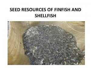 SEED RESOURCES OF FINFISH AND SHELLFISH Introduction Estuaries