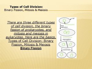 Types of Cell Division Binary Fission Mitosis Meiosis