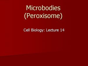 Microbodies Peroxisome Cell Biology Lecture 14 Structure A