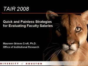 TAIR 2008 Quick and Painless Strategies for Evaluating
