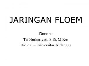 JARINGAN FLOEM Dosen Tri Nurhariyati S Si M