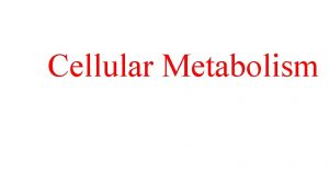 Cellular Metabolism Cellular Metabolism v Cellular metabolism is