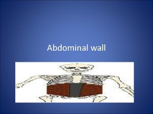Abdominal wall Borders of the Abdomen Abdomen is