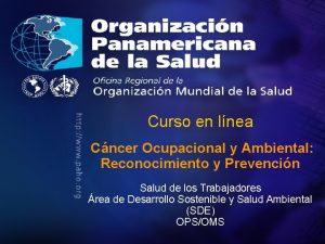 Curso en lnea Cncer Ocupacional y Ambiental Reconocimiento