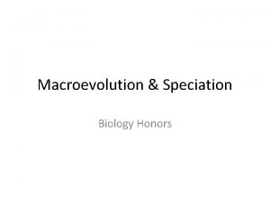 Macroevolution Speciation Biology Honors Essential Question How can