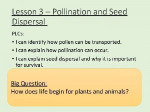 Lesson 3 Pollination and Seed Dispersal PLCs I