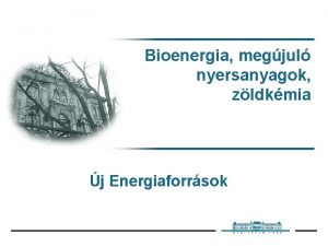 Bioenergia megjul nyersanyagok zldkmia j Energiaforrsok Energiaforrsok Megjul