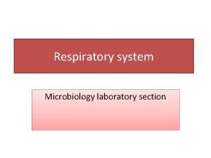 Respiratory system Microbiology laboratory section Gram Positive Coccus