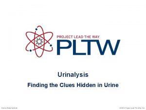 Urinalysis Finding the Clues Hidden in Urine Human