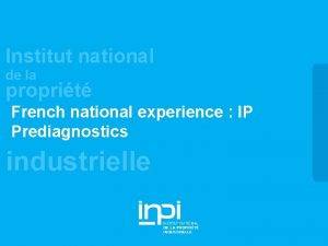 Institut national de la proprit French national experience