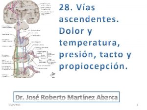 10152021 1 OBJETIVOS Mencione el significado de la