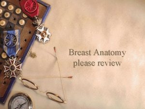 Breast Anatomy please review Macroscopic anatomy w Conventional