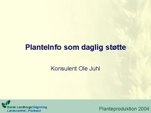 Plante Info som daglig sttte Konsulent Ole Juhl