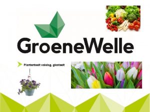 Plantenteelt vakdag glasteelt Gewasverzorgen 2 Wat gaan we