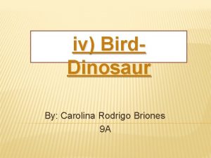 iv Bird Dinosaur By Carolina Rodrigo Briones 9