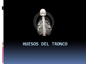 HUESOS DEL TRONCO TRAX Esta constituido por la