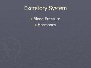 Excretory System Blood Pressure Hormones Blood Pressure Regulation
