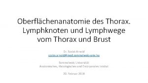 Oberflchenanatomie des Thorax Lymphknoten und Lymphwege vom Thorax
