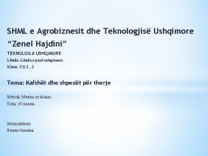 SHML e Agrobiznesit dhe Teknologjis Ushqimore Zenel Hajdini