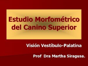 Estudio Morfomtrico del Canino Superior Visin VestbuloPalatina Prof