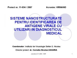 Proiect nr 11 034 2007 Acronim VIRNANO SISTEME