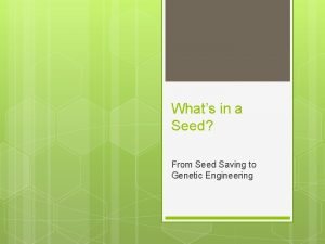 Whats in a Seed From Seed Saving to
