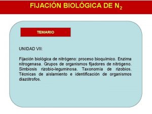 FIJACIN BIOLGICA DE N 2 TEMARIO UNIDAD VII