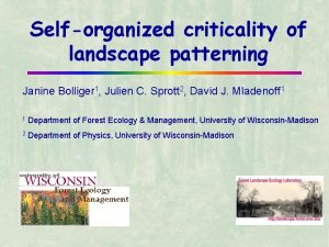 Selforganized criticality of landscape patterning Janine Bolliger 1