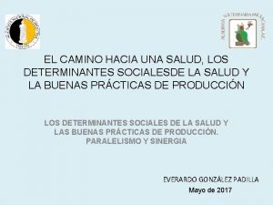 EL CAMINO HACIA UNA SALUD LOS DETERMINANTES SOCIALESDE