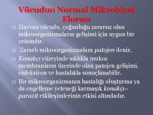 Vcudun Normal Mikrobiyal Floras Hayvan vcudu ounluu zararsz