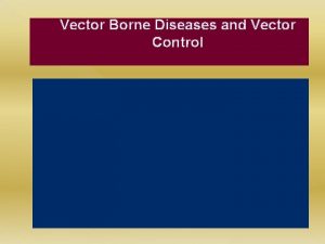 Vector Borne Diseases and Vector Control Vectors Vectors
