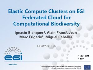Elastic Compute Clusters on EGI Federated Cloud for