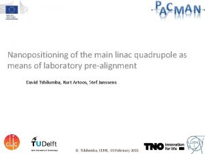 Nanopositioning of the main linac quadrupole as means