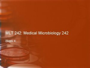 MLT 242 Medical Microbiology 242 Week 4 Ch