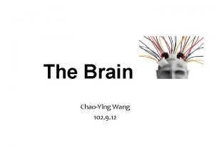 The Brain ChaoYing Wang 102 9 12 Outline