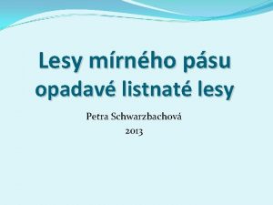 Lesy mrnho psu opadav listnat lesy Petra Schwarzbachov