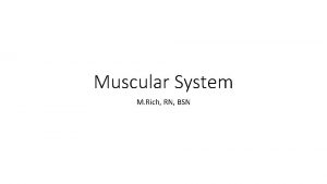 Muscular System M Rich RN BSN Bell work