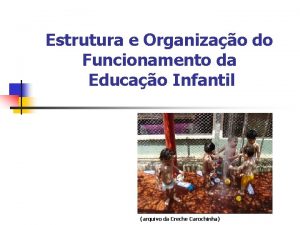 Estrutura e Organizao do Funcionamento da Educao Infantil