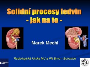 Marek Mechl Radiologick klinika MU a FN Brno